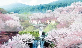 马斯克，不哭