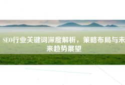 SEO行业关键词深度解析，策略布局与未来趋势展望