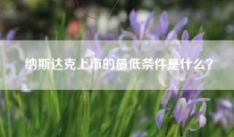 纳斯达克上市的最低条件是什么？