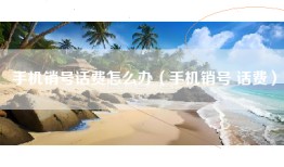 手机销号话费怎么办（手机销号 话费）