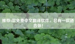 推荐4款免费中文翻译软件，总有一款适合你！