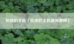 抗摔的手机（抗摔的手机膜有哪种）