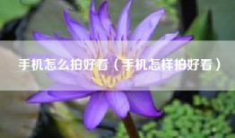 手机怎么拍好看（手机怎样拍好看）