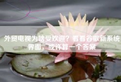 外贸电视为啥受欢迎？看看谷歌新系统界面，或许算一个答案