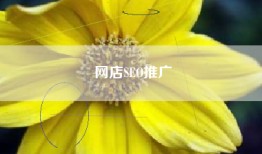 网店SEO推广