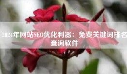 2024年网站SEO优化利器：免费关键词排名查询软件