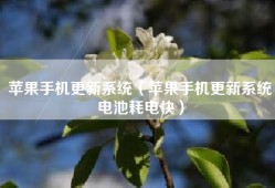 苹果手机更新系统（苹果手机更新系统电池耗电快）