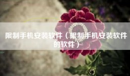 限制手机安装软件（限制手机安装软件的软件）