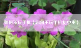 如何不玩手机（如何不玩手机初中生）