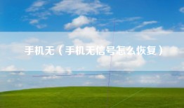 手机无（手机无信号怎么恢复）