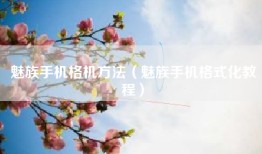 魅族手机格机方法（魅族手机格式化教程）