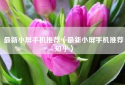 最新小屏手机推荐（最新小屏手机推荐知乎）