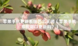 苹果手机更新系统怎么关闭（苹果手机系统可以更新吗？）