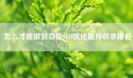 怎么才能做到百度SEO优化提升收录排名