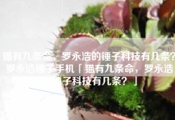 猫有九条命，罗永浩的锤子科技有几条？罗永浩锤子手机「猫有九条命，罗永浩的锤子科技有几条？」