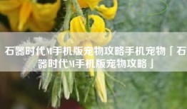 石器时代M手机版宠物攻略手机宠物「石器时代M手机版宠物攻略」