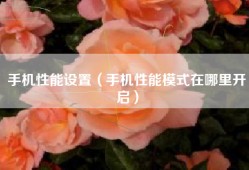 手机性能设置（手机性能模式在哪里开启）