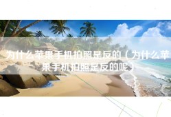 为什么苹果手机拍照是反的（为什么苹果手机拍照是反的呢）