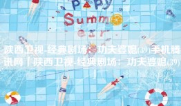 陕西卫视-经典剧场：功夫婆媳(39)手机腾讯网「陕西卫视-经典剧场：功夫婆媳(39)」