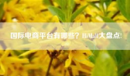 国际电商平台有哪些？HiMall大盘点!
