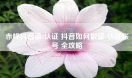赤峰抖音蓝v认证 抖音如何做蓝v认证账号 全攻略