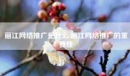 丽江网络推广是什么,丽江网络推广的重要性