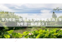 华为电池一般用多久华为 手机电池「华为电池一般用多久」