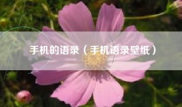 手机的语录（手机语录壁纸）