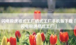 闪电极速格式工厂格式工厂手机版下载「闪电极速格式工厂」