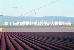 快手磁力聚星挂小铃铛无人直播玩法