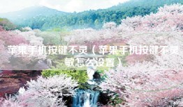 苹果手机按键不灵（苹果手机按键不灵敏怎么设置）