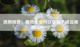 适用场景：哪些企业可以受益于成品视频CRM999？