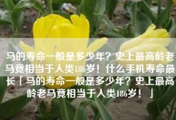 马的寿命一般是多少年？史上最高龄老马竟相当于人类186岁！什么手机寿命最长「马的寿命一般是多少年？史上最高龄老马竟相当于人类186岁！」