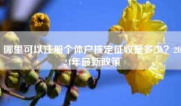 哪里可以注册个体户核定征收是多少？2024年最新政策