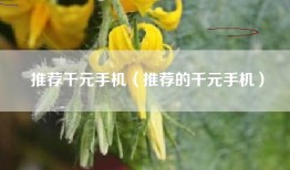 推荐千元手机（推荐的千元手机）