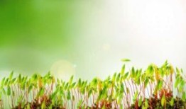 广州荔湾区疫情最新动态实时更新（11月14日广州市疫情防控新闻发布会主要内容）