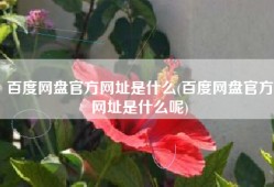 百度网盘官方网址是什么(百度网盘官方网址是什么呢)