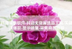 抖霸采集软件-抖店无货源选品工具-关键词爆款-显示销量-采集商品链接