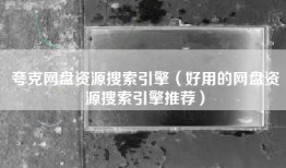夸克网盘资源搜索引擎（好用的网盘资源搜索引擎推荐）