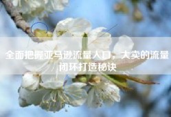全面把握亚马逊流量入口，大卖的流量闭环打造秘诀