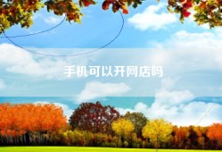 手机可以开网店吗