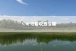 SCMP项目收费明细