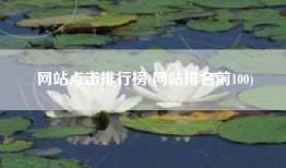 网站点击排行榜(网站排名前100)