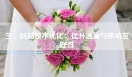 三、网站技术优化：提升速度与移动友好性