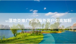 ws落地页推广引流海外客户引流加粉