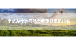 宁波为什么网站有收录就是没排名