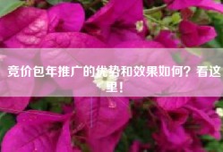 竞价包年推广的优势和效果如何？看这里！