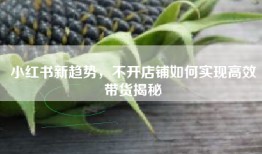 小红书新趋势，不开店铺如何实现高效带货揭秘