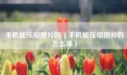 手机能压缩图片吗（手机能压缩图片吗怎么弄）