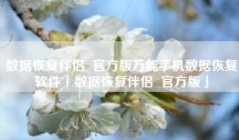 数据恢复伴侣  官方版万能手机数据恢复软件「数据恢复伴侣  官方版」